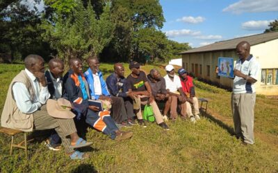 Social Norms Learning Initiative: Snapshot report 2024:2025