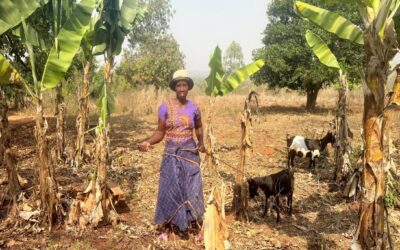 From reflection to action: Practice-based learning on women’s economic empowerment, shared power and changing gender norms through SASA! Faith